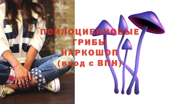 СК Алексин