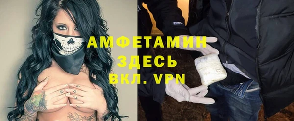 СК Алексин
