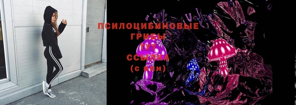 СК Алексин