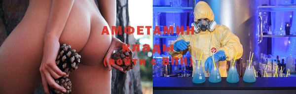 индика Алзамай