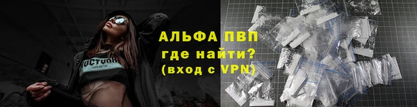 СК Алексин