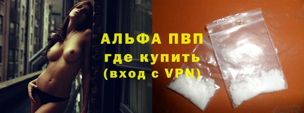 СК Алексин