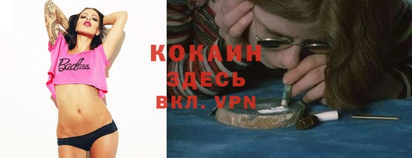 ПСИЛОЦИБИНОВЫЕ ГРИБЫ Слюдянка
