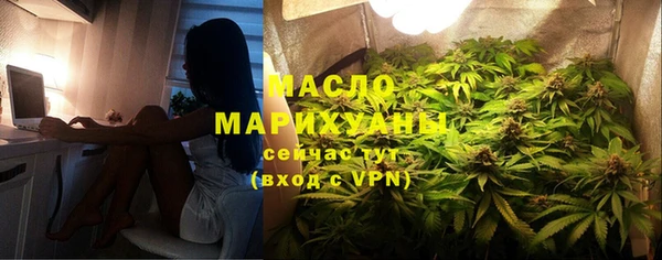 СК Алексин