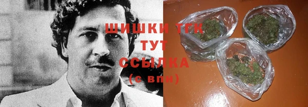 СК Алексин